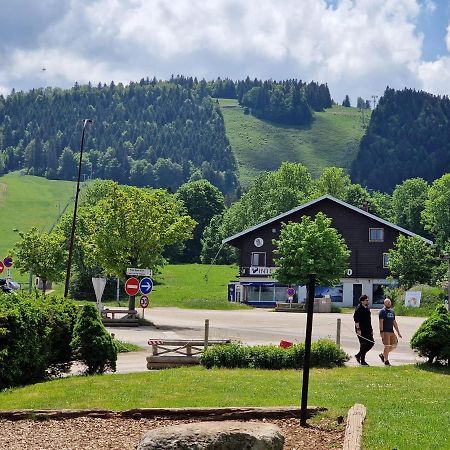 Place Royale Pour 10 A 12 Personnes A 30 Met Des Pistes De Ski Et Vtt Метаб'єф Екстер'єр фото