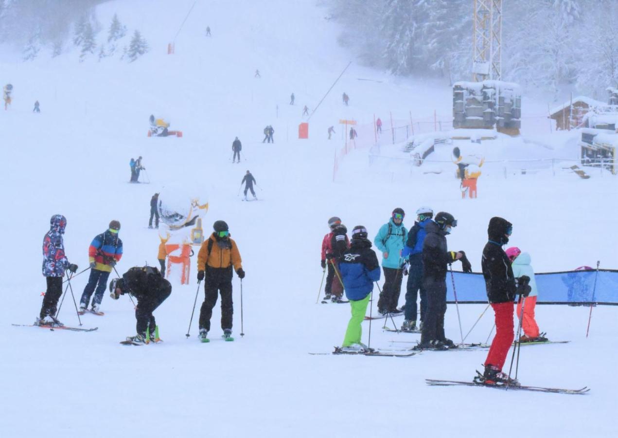 Place Royale Pour 10 A 12 Personnes A 30 Met Des Pistes De Ski Et Vtt Метаб'єф Екстер'єр фото