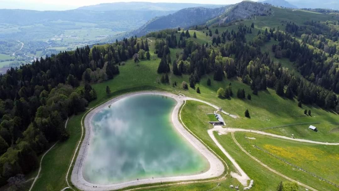 Place Royale Pour 10 A 12 Personnes A 30 Met Des Pistes De Ski Et Vtt Метаб'єф Екстер'єр фото