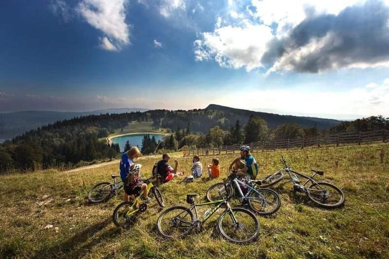 Place Royale Pour 10 A 12 Personnes A 30 Met Des Pistes De Ski Et Vtt Метаб'єф Екстер'єр фото