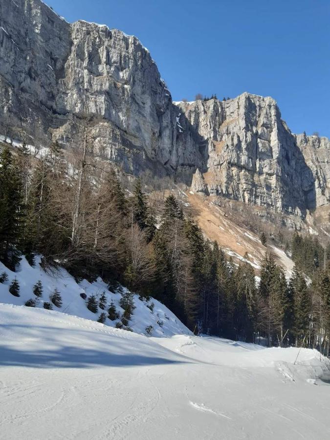 Place Royale Pour 10 A 12 Personnes A 30 Met Des Pistes De Ski Et Vtt Метаб'єф Екстер'єр фото