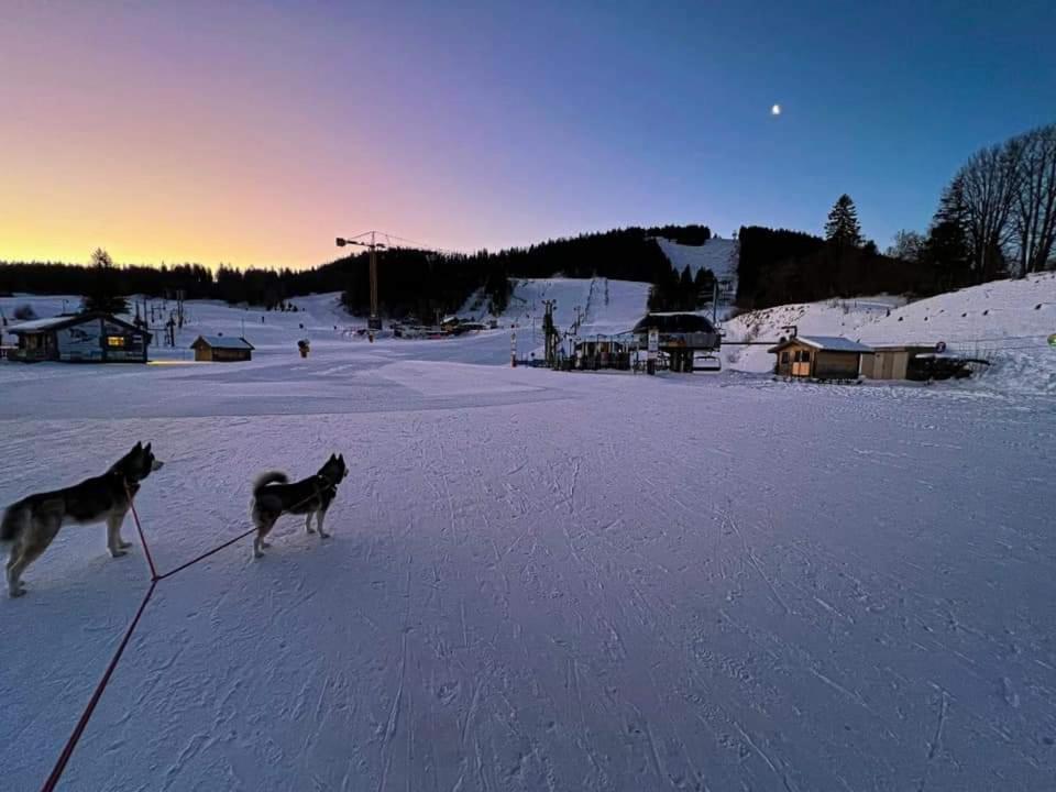 Place Royale Pour 10 A 12 Personnes A 30 Met Des Pistes De Ski Et Vtt Метаб'єф Екстер'єр фото