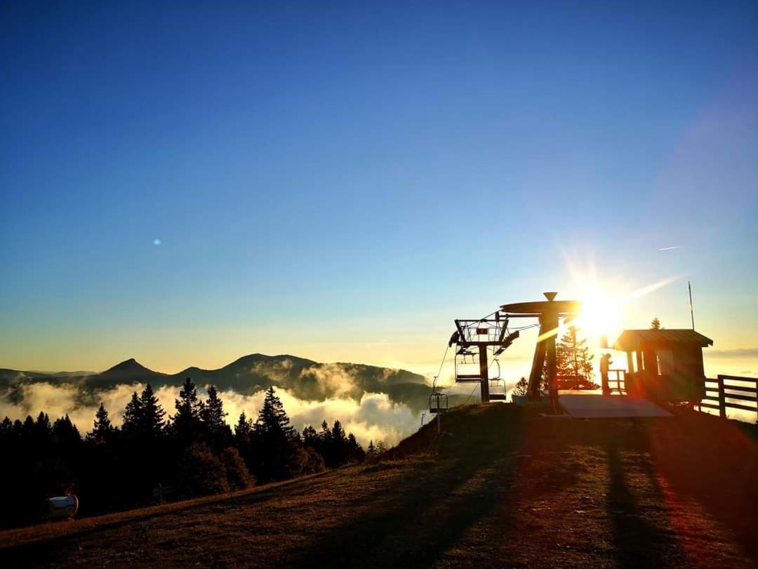 Place Royale Pour 10 A 12 Personnes A 30 Met Des Pistes De Ski Et Vtt Метаб'єф Екстер'єр фото