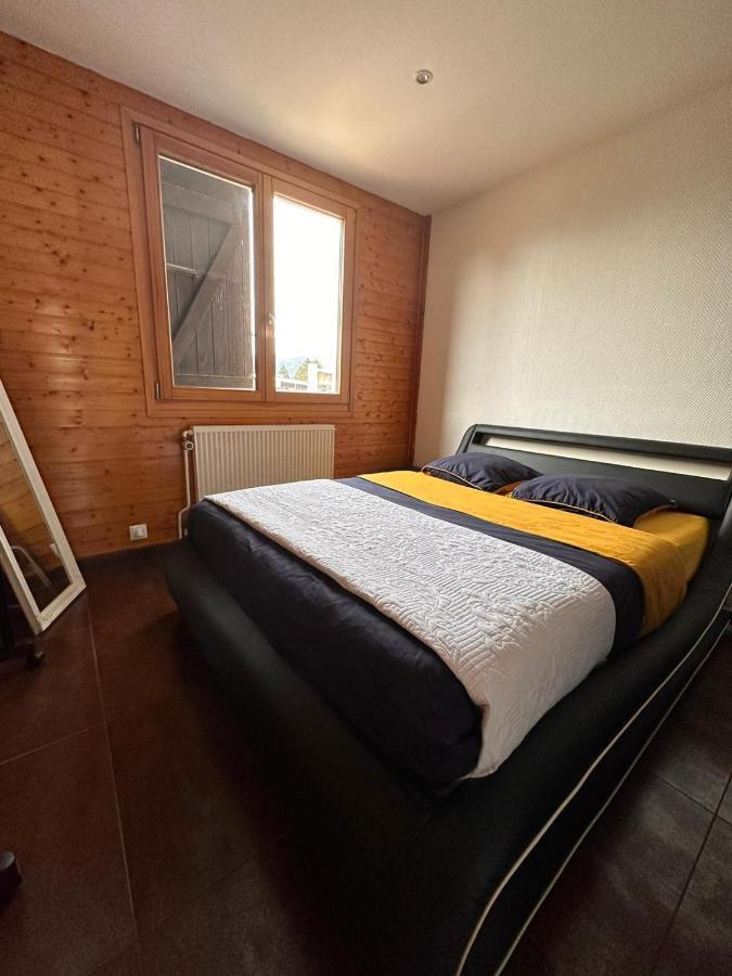 Place Royale Pour 10 A 12 Personnes A 30 Met Des Pistes De Ski Et Vtt Метаб'єф Екстер'єр фото